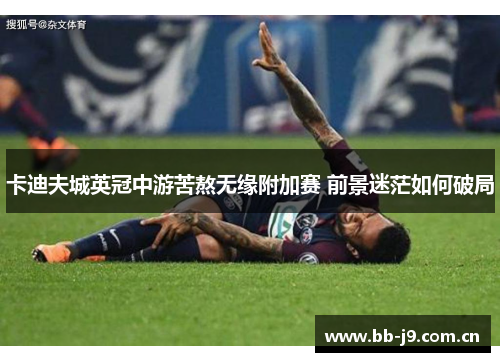 卡迪夫城英冠中游苦熬无缘附加赛 前景迷茫如何破局